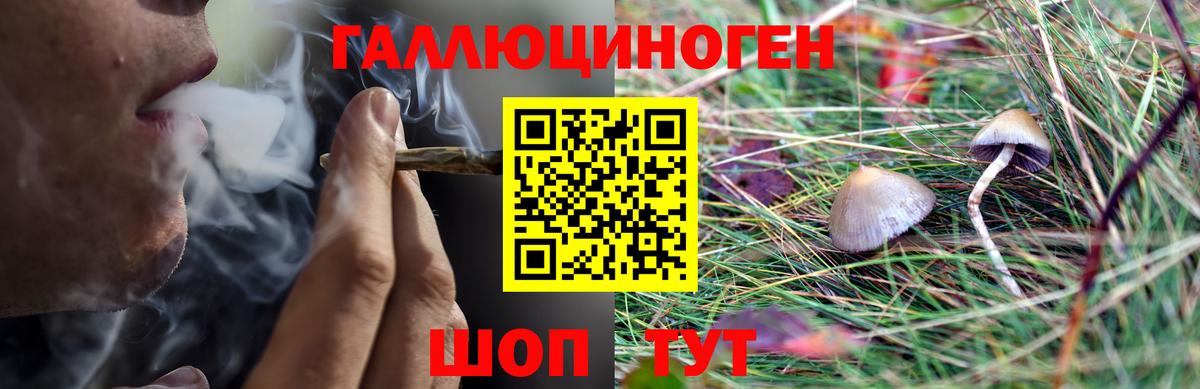 Улан-Удэ  Галлюциногенные грибы Psilocybine cubensis  Вход с VPN 